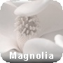 Détails de l'appartement "Le Magnolia"